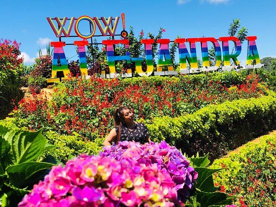 Buwakan ni Alejandra